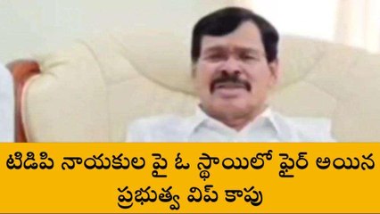 అనంతపురం జిల్లా: "ప్రపంచంలోనే అతిపెద్ద ఆర్థిక నేరగాడు చంద్రబాబు"