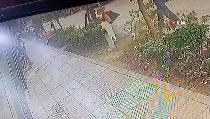 Manisa'da Pitbull Köpeğin Saldırısı