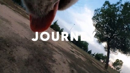 ¡Increíble! Video Edición Automática con Insta360 Go 3 🎥