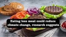 Eating less meat could reduce climate change, research suggests @InterestingStranger #InterestingStranger #meat #climatechange