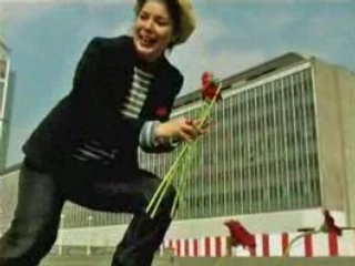 20 fleurs et sept gratte-ciel