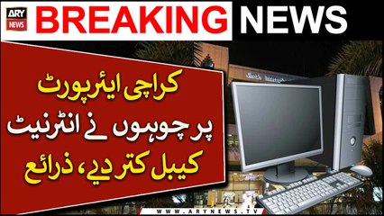 Mice damage internet cables at Karachi airport