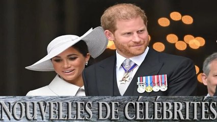 Harry et Meghan Markle  :7 vols en 14 jours, leur train de vie peu écologique fait vrombir