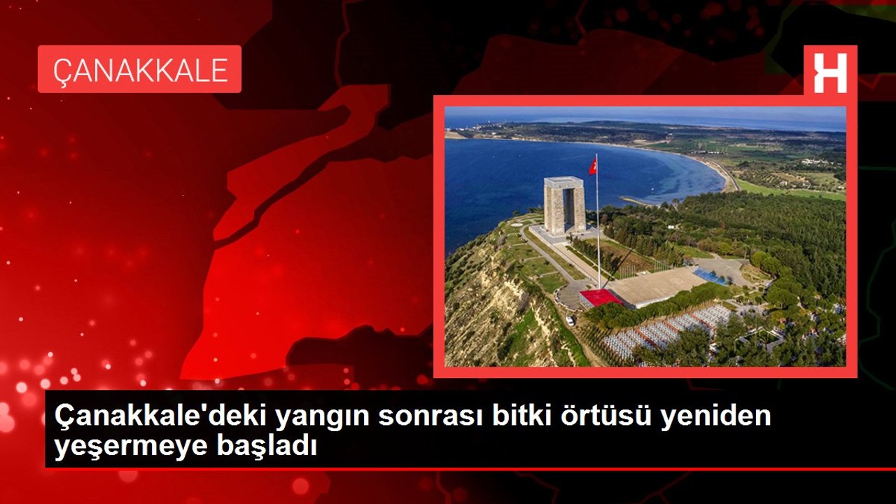Çanakkale'deki yangın sonrası bitki örtüsü yeniden yeşermeye başladı