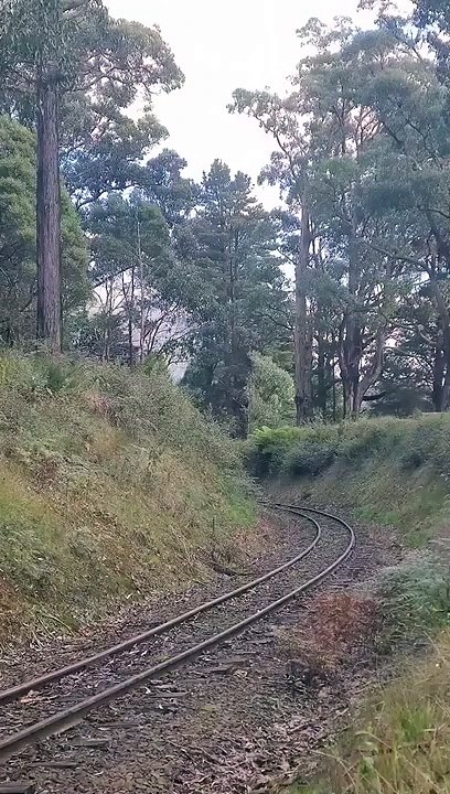 rounding the curve
