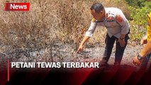 Tewas di Lahan Sendiri, Tubuh Petani di Baubau Ditemukan Terbakar 90 Persen