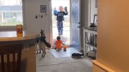 Siblings doing house chores team up to clean the unreachable areas *Cute Siblings Moment*