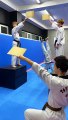 Taekwondo Tricks