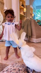 Cockatoo Is a Dance Coach