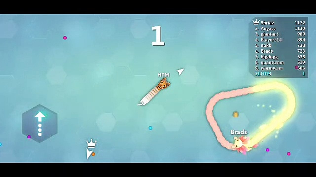 Serious Snake Accident