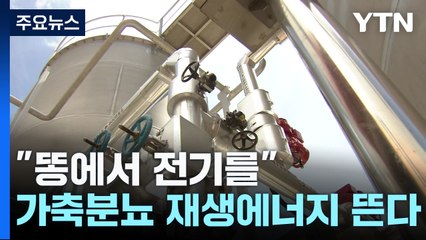 "똥에서 전기를"...제주 가축분뇨 발전 시설 증설 완료 / YTN