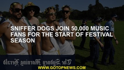 Sniffer dogs join 50,000 music fans for the start of festival season