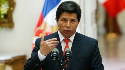 “Nadie imaginó que Pedro Castillo un día por la mañana se iba a levantar con la intenta de hacer un golpe de Estado”: Mávila Huertas