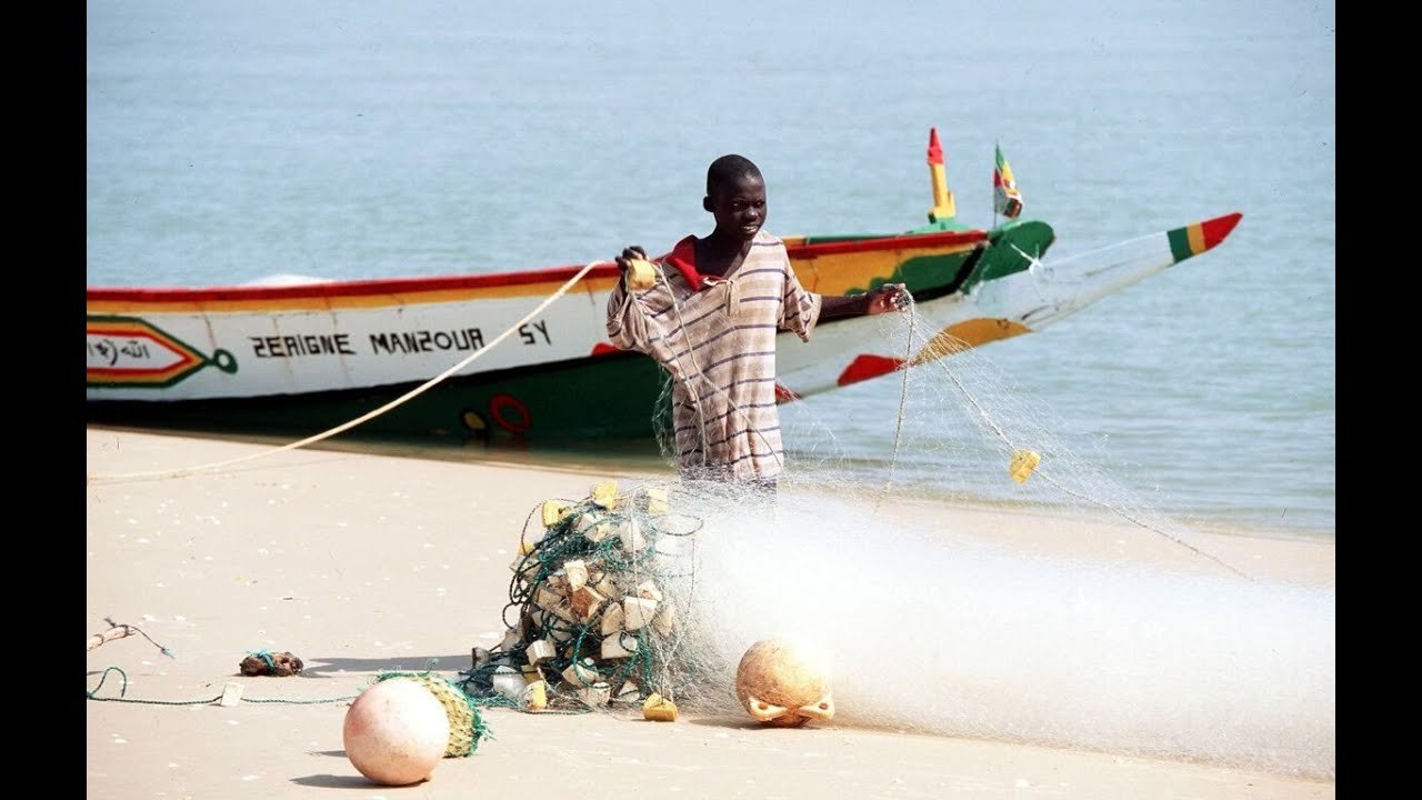 VIDEO: La Marine sénégalaise intercepte 272 migrants clandestins en pirogues