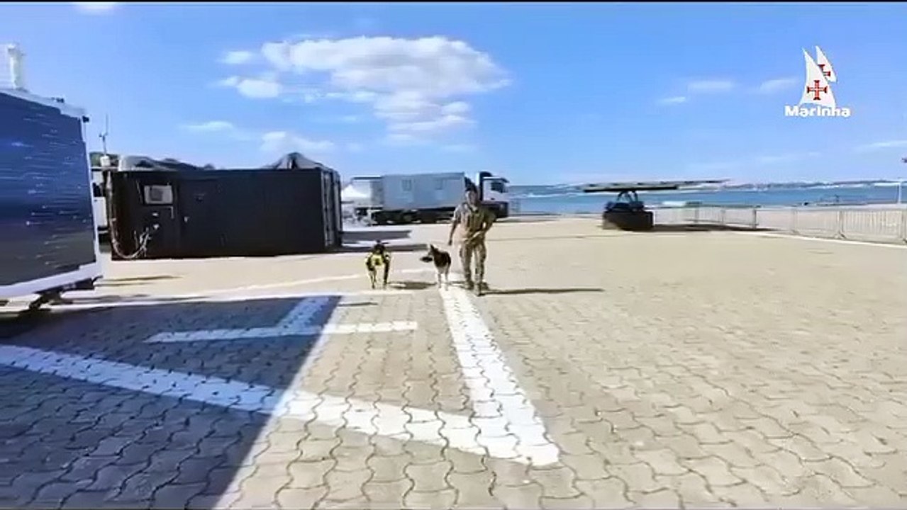 marinha cão robot
