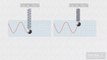 The Initial Phase Angle of Simple Harmonic Motion | Oscillation | 11th Class Physics