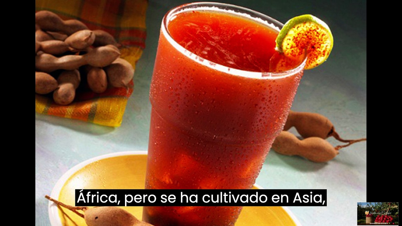 El tamarindo el tesoro tropical