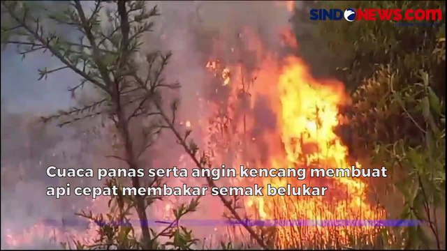 Karhutla Nyaris Kepung Permukiman Warga di Kabupaten Banjar Kalsel