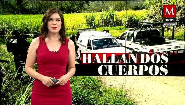 Agentes municipales descubren 2 cuerpos al fondo de un barranco en Veracruz