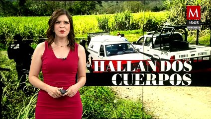 Agentes municipales descubren 2 cuerpos al fondo de un barranco en Veracruz