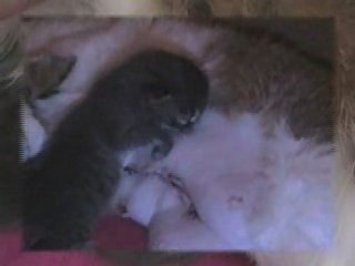 Une grosse envie de téter