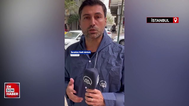 İstanbul Esenyurt'ta halk, başıboş köpeklerden şikayetçi: Çocuklara saldırıyorlar