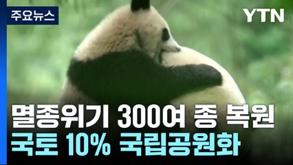 中 멸종위기 300여 종 복원...국토 10% 국립공원화 박차 / YTN