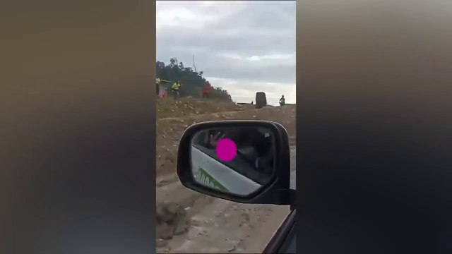 VIDEO Orang Utan Jadi Bulan-bulanan Pekerja Tambang