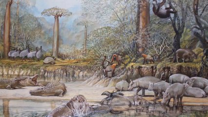 Weekly Wildlife: Ice Age Special 2