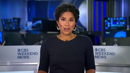 كاميرات سرعة ترصد كلب يقود سيارة متحركة في سلوفاكيا