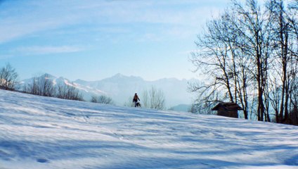 Anatomia di una caduta (Trailer Ufficiale HD) ⭐️⭐️⭐️⭐️