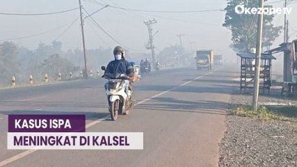 Kabut Asap Dikeluhkan Warga Tanah Laut Kalsel, Tercatat hingga 15 Ribu Kasus ISPA