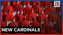 Pope appoints 21 new cardinals to fill highest ranks of Church