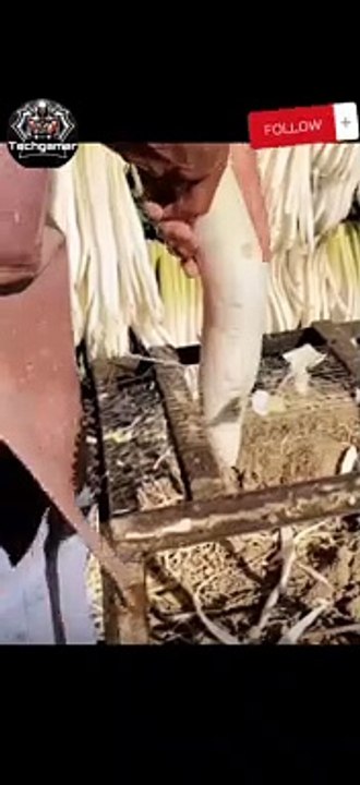 #tipsandtricks