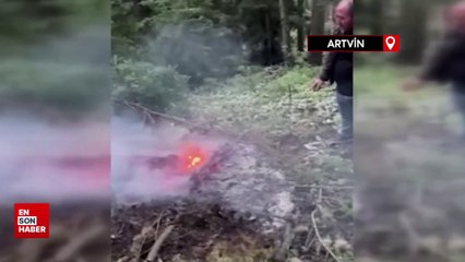 Ağaca yıldırım düştü, ormanda yangın çıktı