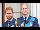 Prince William 'doesn't know' who Harry is anymore - relationship at 'rock bottom'