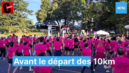Fougères Octobre rose 2023