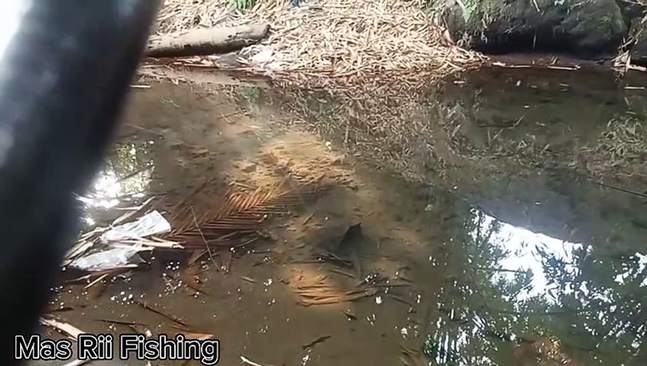 Micro Fishing