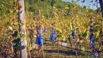 مسلسل روابط القدر الحلقة 1 مترجمة للعربية بارت 1