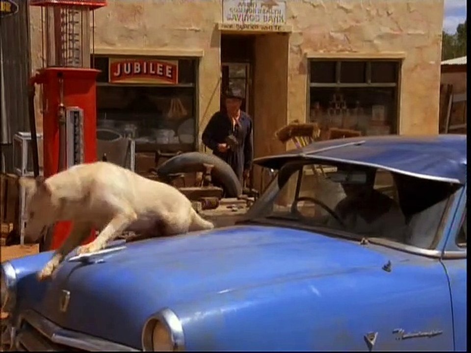 BOUNDARIES OF THE HEART (1988) 1h 40m. Director: Lex Marinos. Cast: Wendy Hughes, John Hargreaves, Norman Kaye, Max Cullen, Julie Nihill, Michael Siberry, John Clayton, Robert Faggetter, Vivienne Garrett, Don Halbert, Andy King, Russell Bandy.