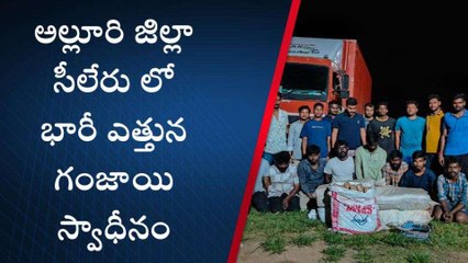 అల్లూరి జిల్లా: సీలేరులో భారీ ఎత్తున గంజాయి పట్టివేత.. 9 మంది అరెస్ట్