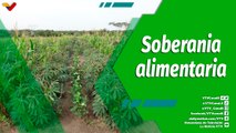 Cultivando Patria | “El Fruto de la Perseverancia” forjando las nuevas políticas agrícolas