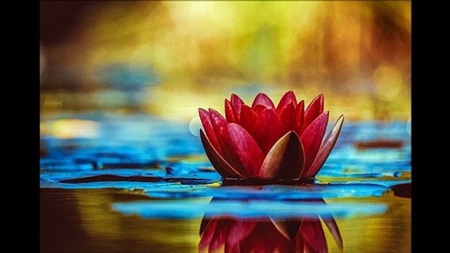 La confiance en soi. Méditation en pleine conscience, Autohypnose. Mise en état de relaxation