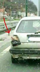 this piggy actually functions as break light light