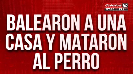 Rosario sangrienta: balearon una casa y mataron al perro
