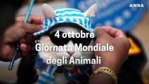 4 ottobre Giornata Mondiale degli Animali