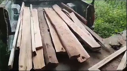 वन विभाग ने दबिश देकर घर से जब्त की सागौन की लकड़ियां