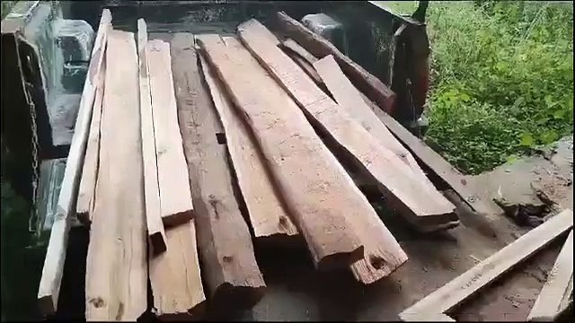 वन विभाग ने दबिश देकर घर से जब्त की सागौन की लकड़ियां