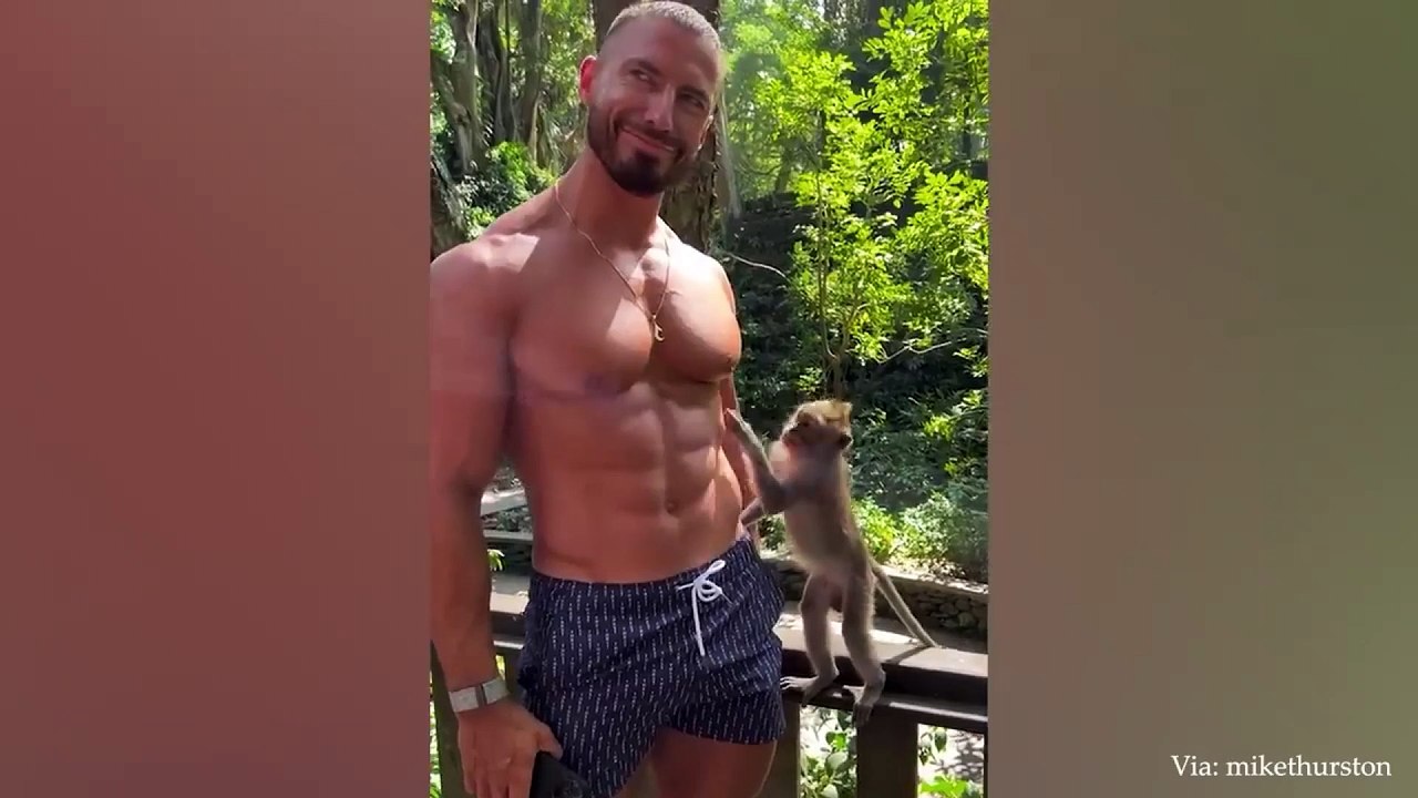 animal funny video 71