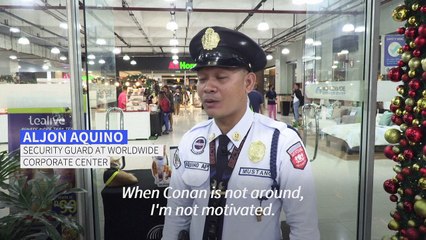 Stray cats join Philippine security guards